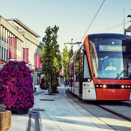 Newly Renovated Rom Fana Bergen